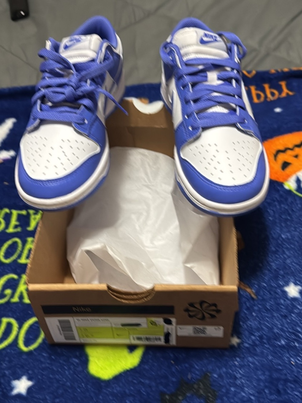 Women’s Nike Dunk Low-Top Sneakers - White & Blue